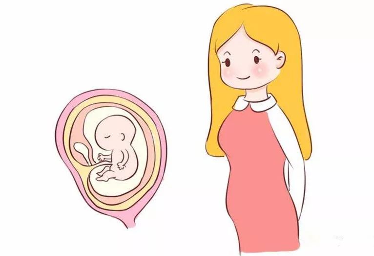 已经有胎心胎芽了为何会胎停?
