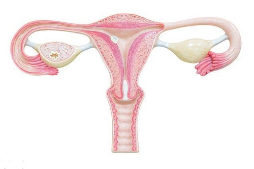 输卵管粘连可以怀孕吗