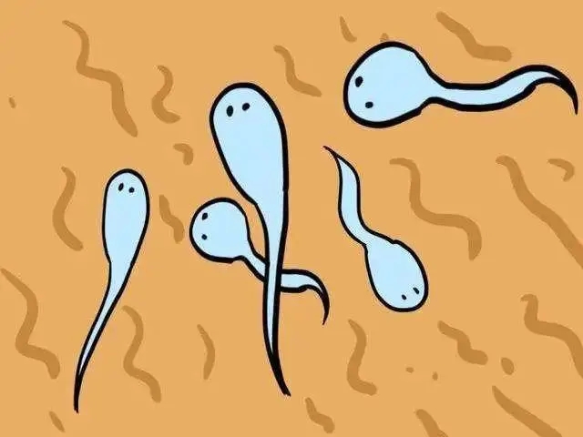 导致精子质量低的原因有哪些?