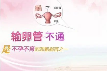 郑州那个医院看不孕不育好?输卵管不通畅还能怀孕吗?