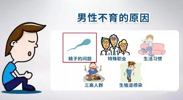 郑州哪里看男性不育医院?身体肥胖会影响男性生育吗?