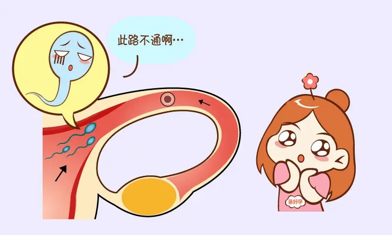 重庆看不孕不育哪家医院好点?输卵管堵塞还会来月经吗?