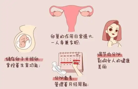郑州不孕不育治疗|多囊患者如何改善排卵功能?
