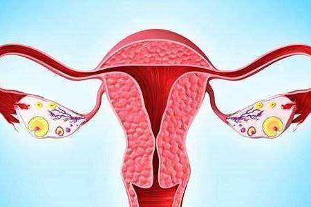 輸卵管上舉影響懷孕嗎?