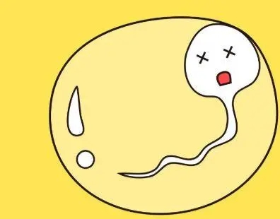 检查出精子少吃什么能恢复?